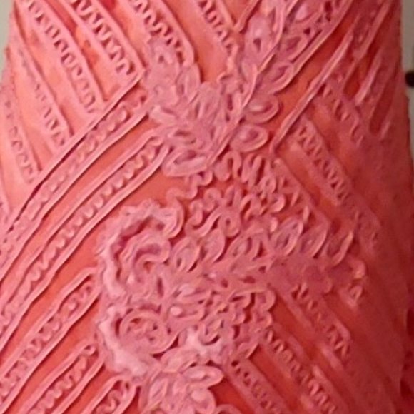 NWT Sue Wong Embroidered Short Formal Dress - Picture 5 of 5